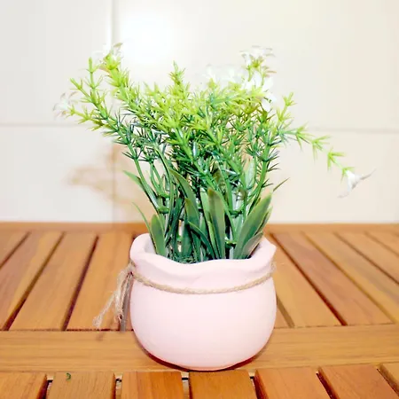 公寓 Beim Alten Holzschuhmacher