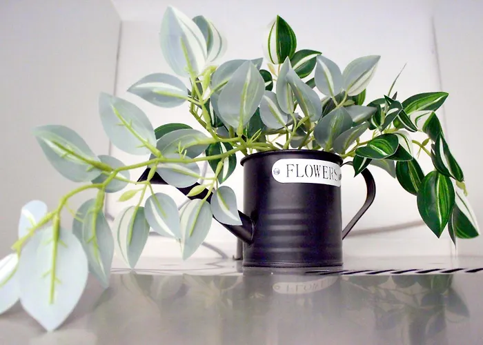 公寓 Beim Alten Holzschuhmacher Freckenfeld