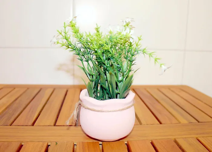 公寓 Beim Alten Holzschuhmacher